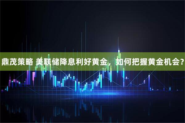 鼎茂策略 美联储降息利好黄金，如何把握黄金机会？