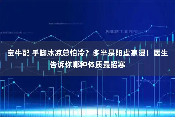 宝牛配 手脚冰凉总怕冷？多半是阳虚寒湿！医生告诉你哪种体质最招寒