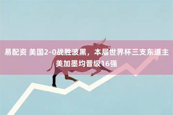 易配资 美国2-0战胜波黑，本届世界杯三支东道主美加墨均晋级16强